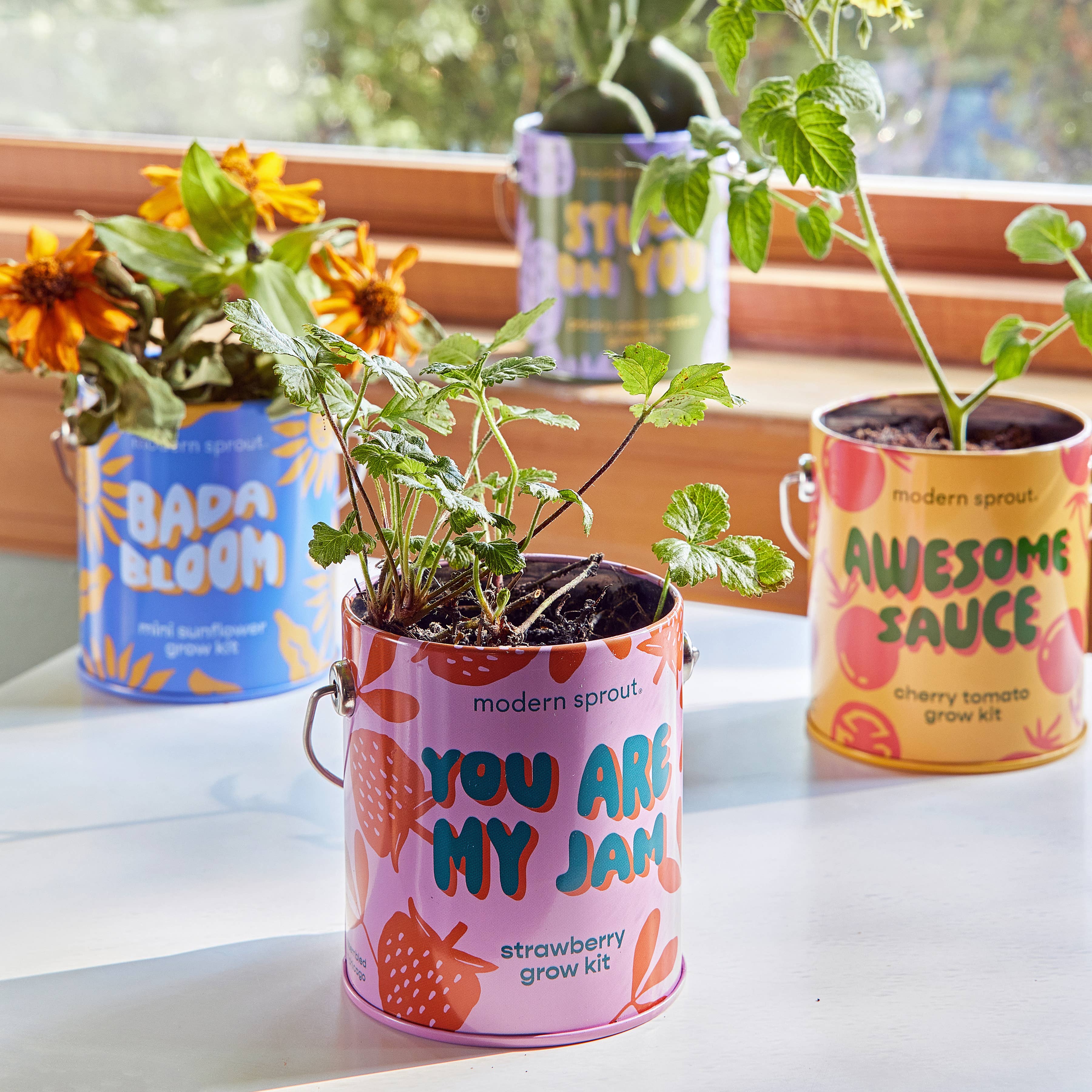 Product image 21