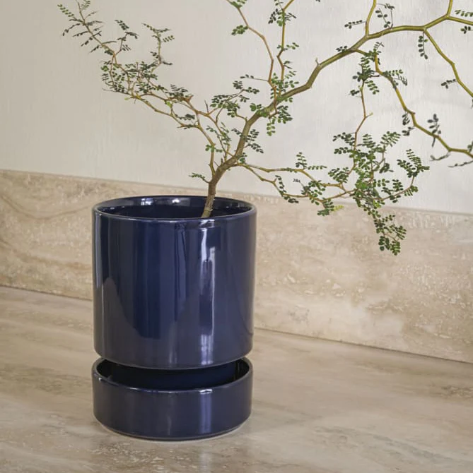 The Hoff Pot